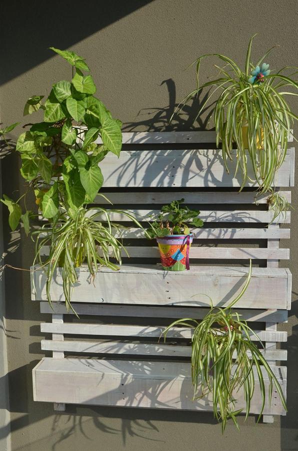 Monoambiente La Pitota Apartment Parana Luaran gambar